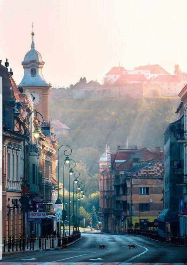 Strada Republicii Nr 26 Daire Braşov Dış mekan fotoğraf